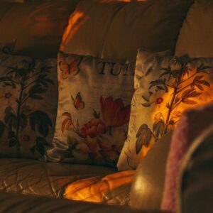 living room, pillows, sofa